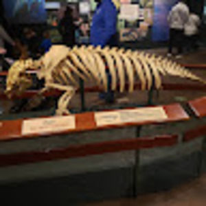 Meet your Posher, Tim